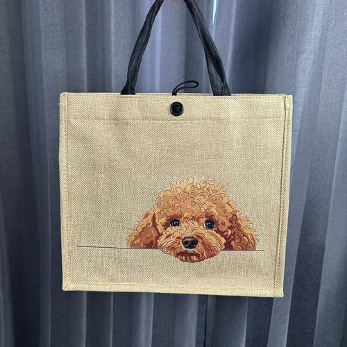 Toy Poodle