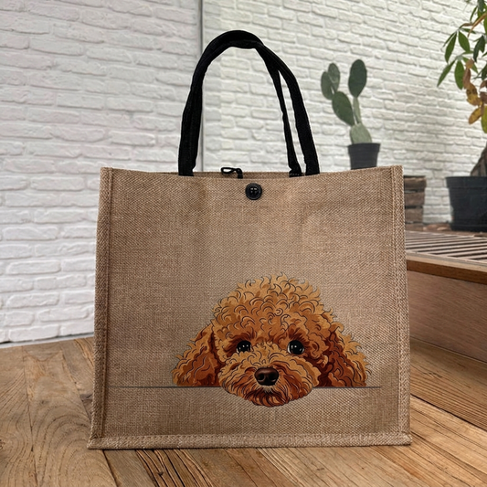 Toy Poodle